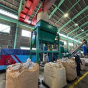 ニューソルガム脱炭素貢献